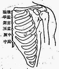 玉穴|醫砭 » 經穴庫 » 玉堂